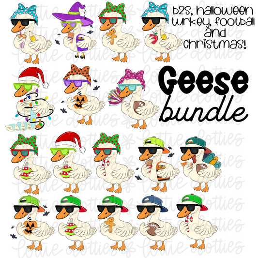 Goose Bundle Set - Goose clipart - Goose Designs
