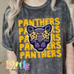 Panthers  PNG - Panthers Sublimation  - Digital Download - Gold