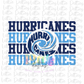 Hurricanes PNG - Hurricanes -  Sublimation Design - Digital Download