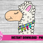 Llama PNG - Llama Sublimation