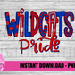 Wildcats Pride  PNG - Wildcats -  sublimation design - Digital Download