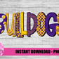 Bulldogs -  PNG - Bulldogs  -  sublimation design - Digital Download