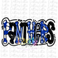 Panthers  PNG - Panthers Sublimation  - Digital Download