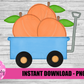 Peach Png - Peach Sublimation Design- Digital Download